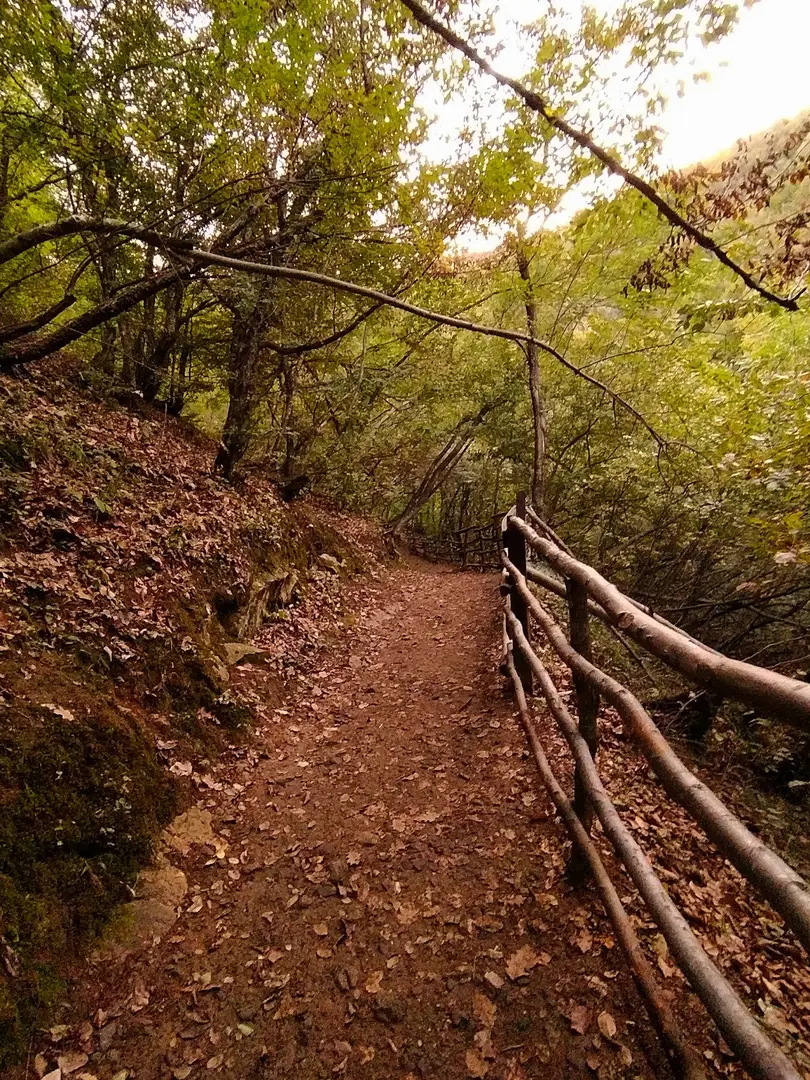 Dipsiz Göller Picnic Area — Yalova — küçük resim 10