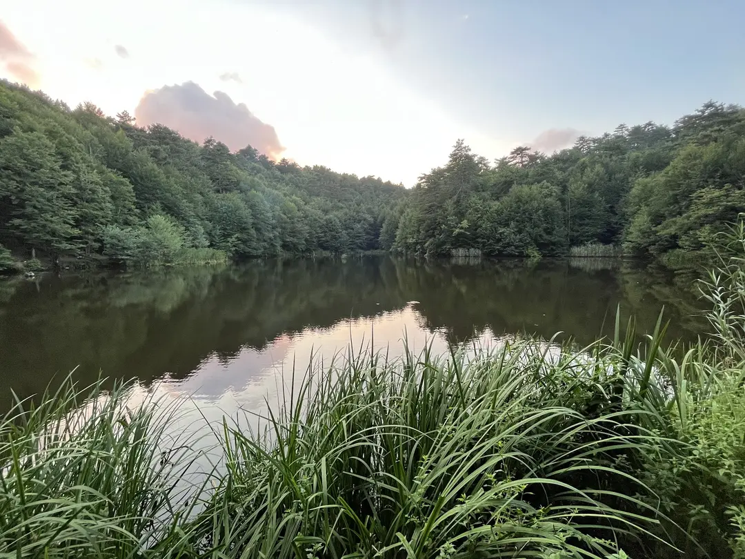 Dipsiz Göller Piknik Alanı