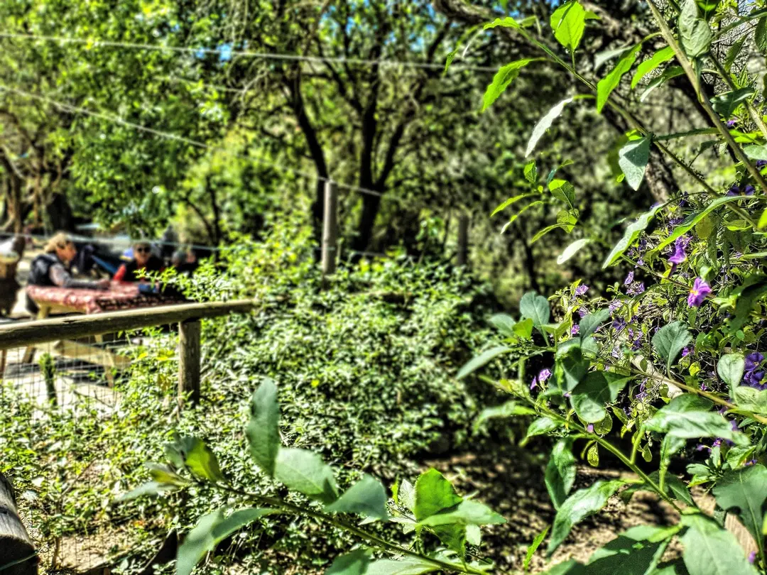 Datça Base Camp — Muğla — küçük resim 7