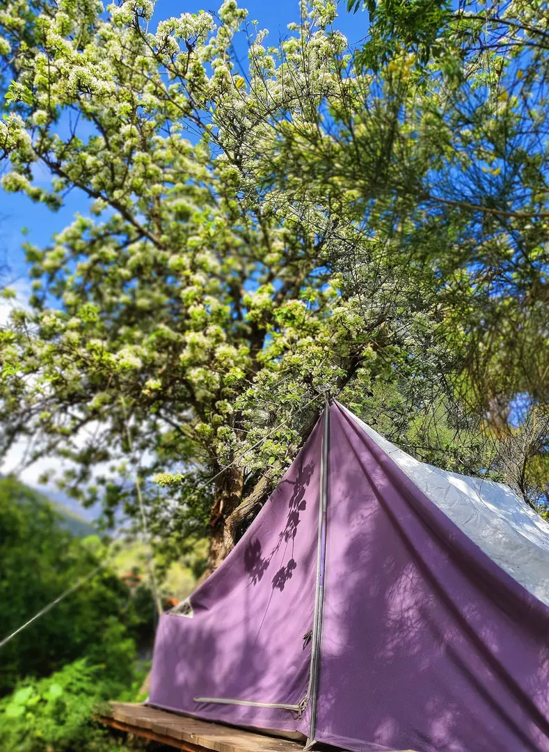 Datça Base Camp — Muğla — küçük resim 6