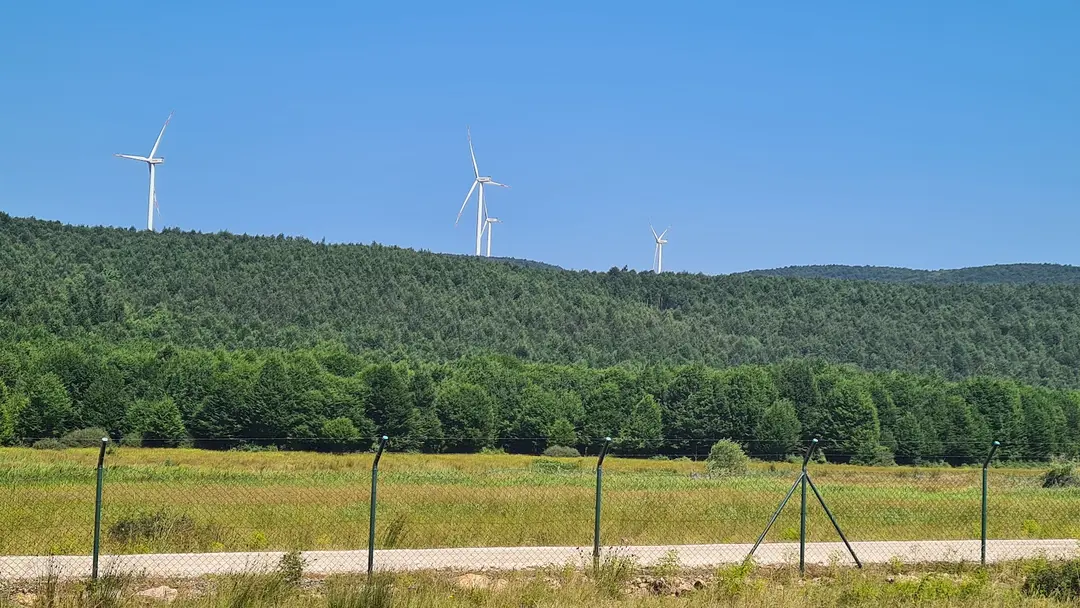 Delmece Yaylası — Yalova — küçük resim 7
