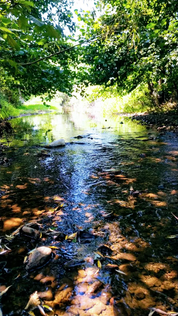 Area Camping Doğa Park — Yalova — küçük resim 2