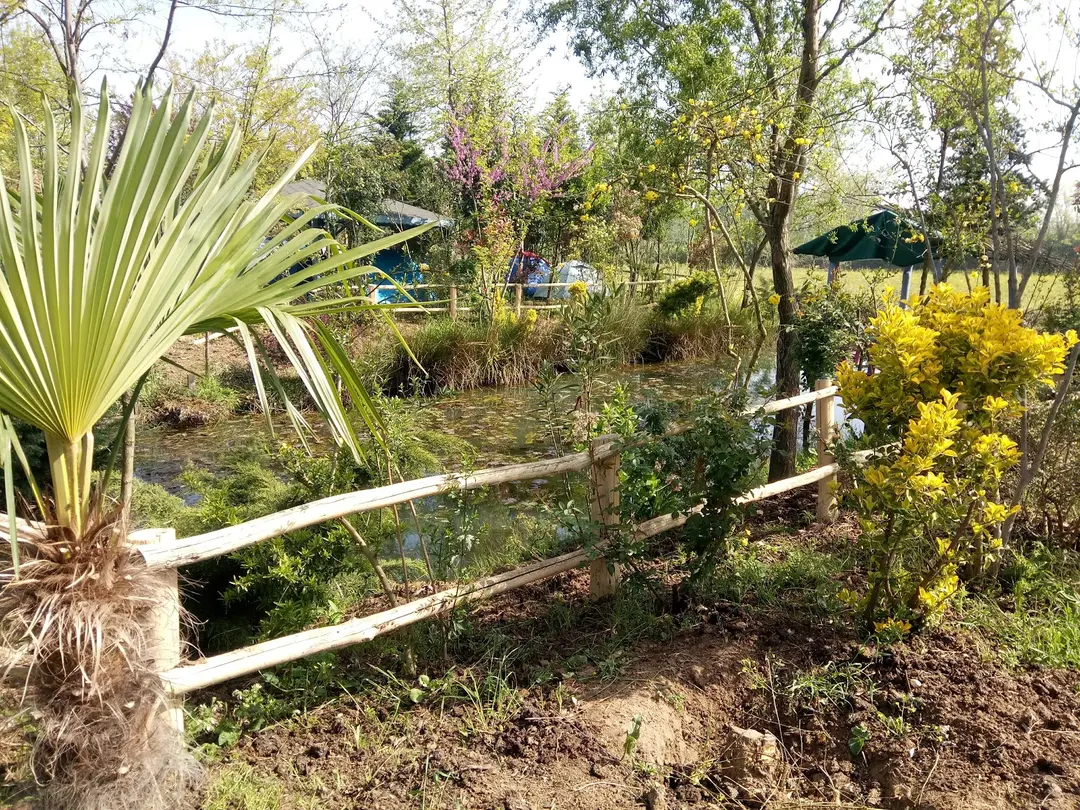 Area Camping Doğa Park — Yalova — küçük resim 9