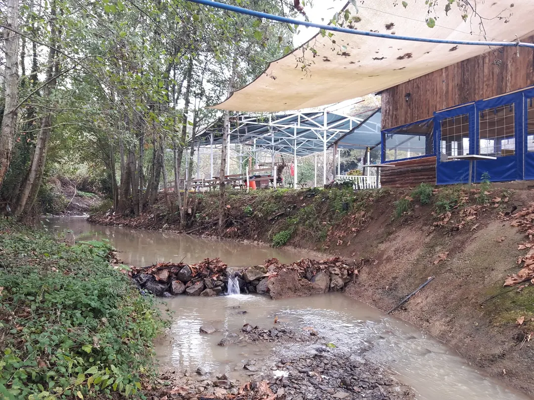 Yalova kamp merkezi MARİPOSA — Yalova — küçük resim 7