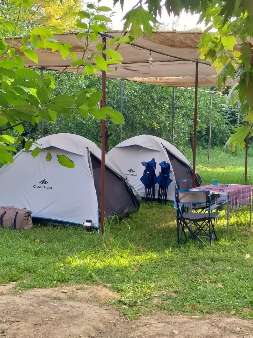 Yalova kamp merkezi MARİPOSA — Yalova — küçük resim 2