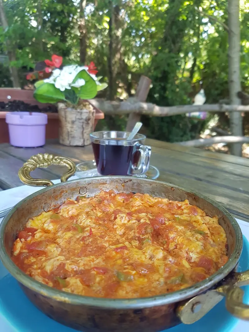 Yalova kamp merkezi MARİPOSA — Yalova — küçük resim 6