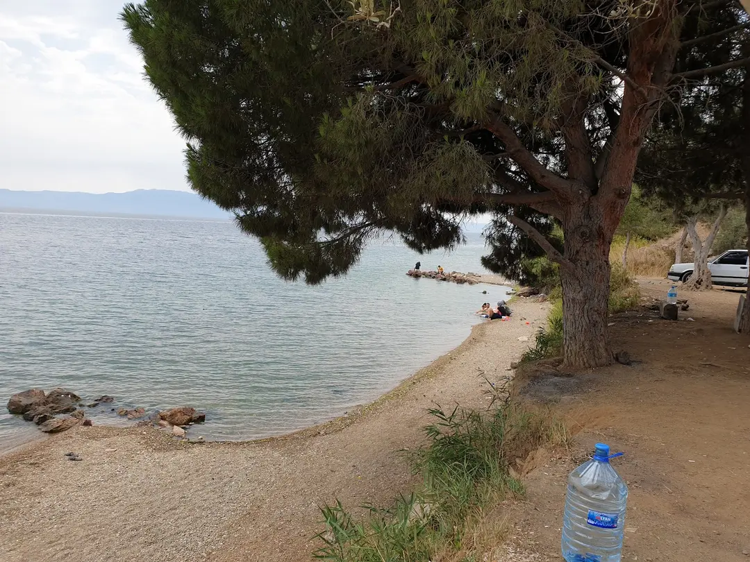 Deniz Atı Campıng
