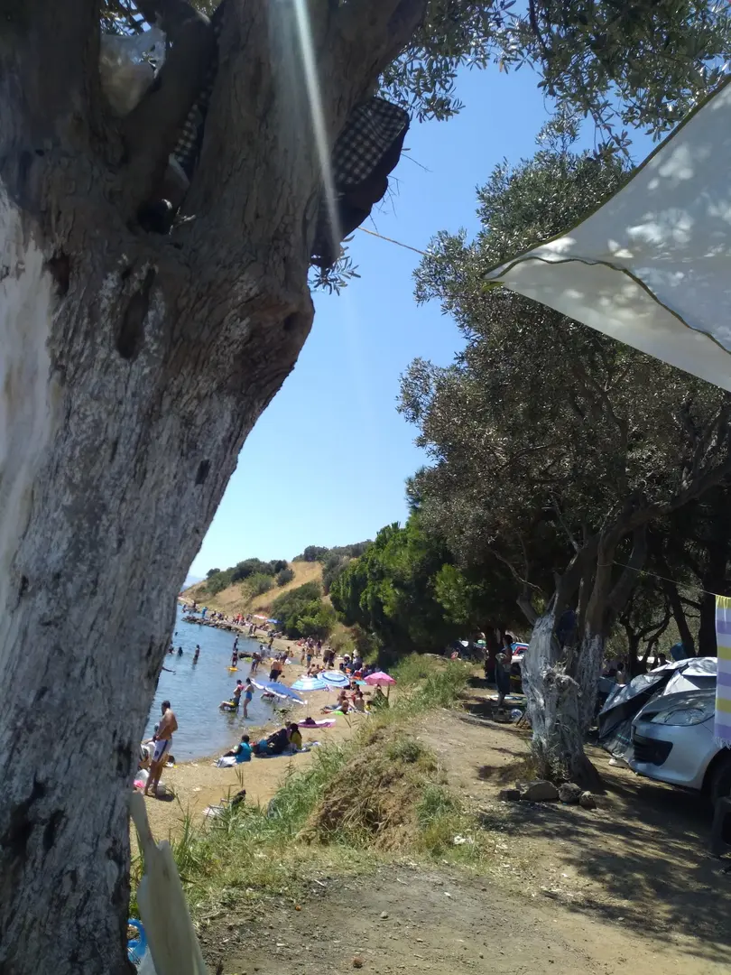 Deniz Atı Camping — Yalova — küçük resim 7