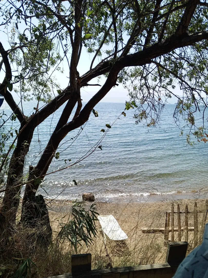 Deniz Atı Camping — Yalova — küçük resim 10