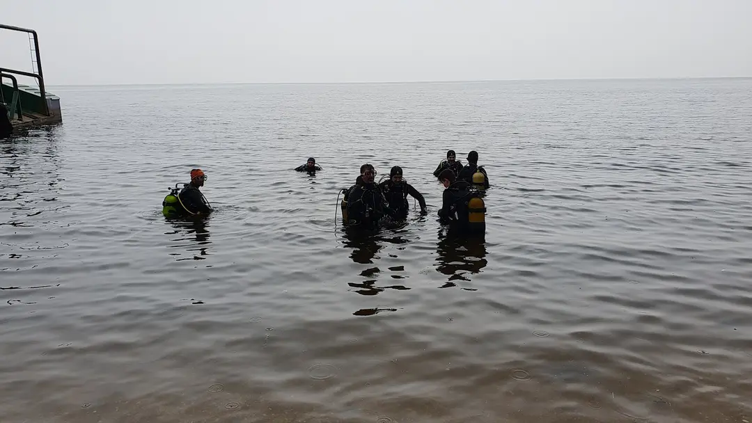 Deniz Atı Camping — Yalova — küçük resim 2