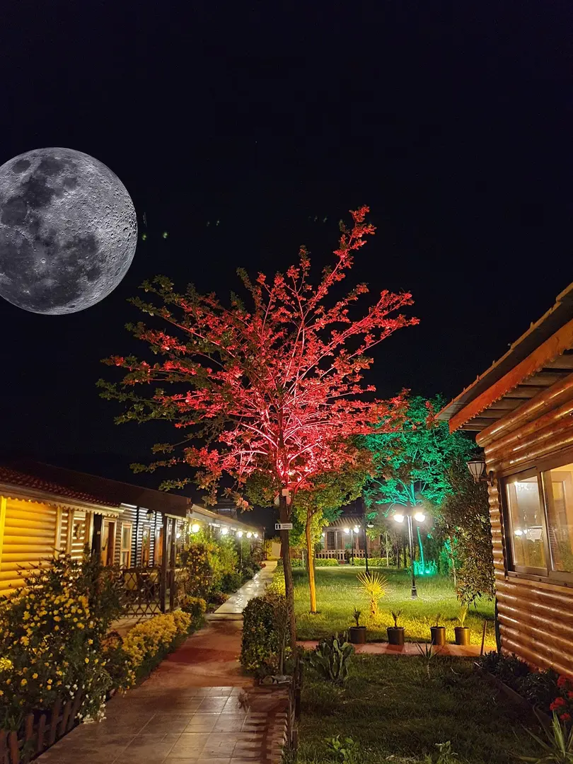 Huzur Bungalov Çınarcık — Yalova — küçük resim 6