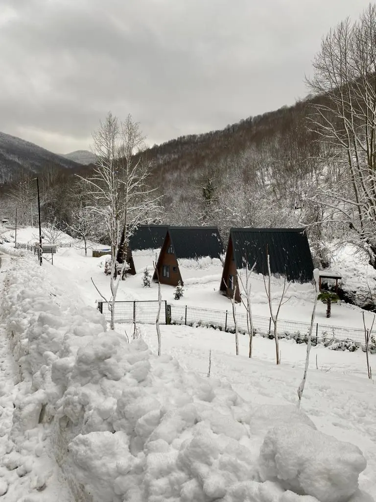 JungoLove — Yalova — küçük resim 8