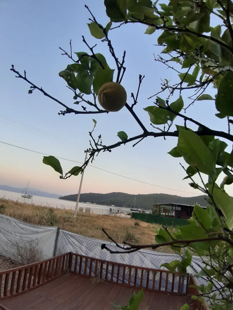 AKBÜK GARDEN BEACH CAMPING CAFETERIA — Muğla — küçük resim 6