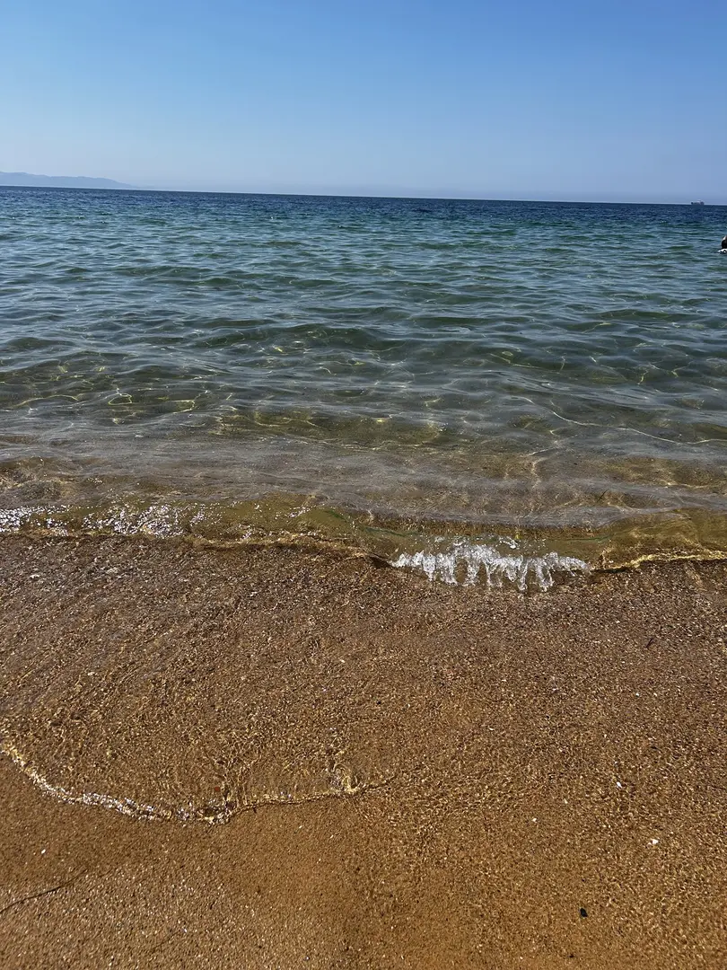 Bega Bungalov — Yalova — küçük resim 5