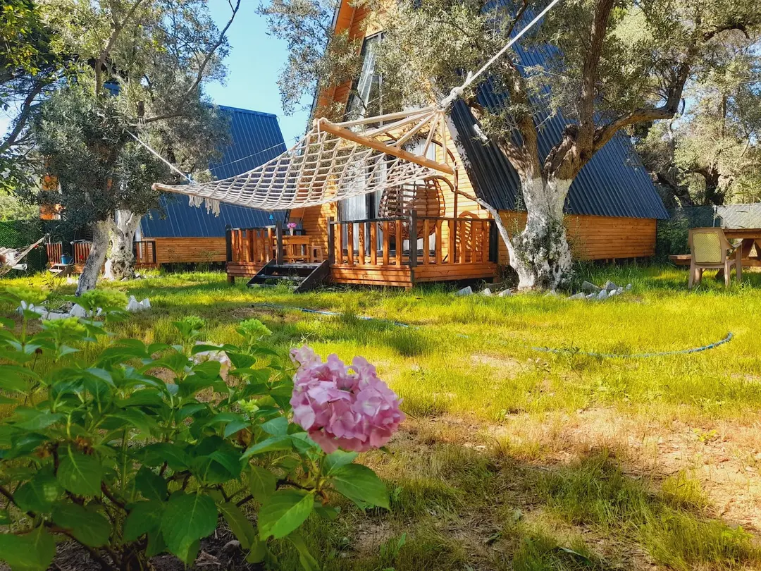 Fıstıklı Tual Bungolov