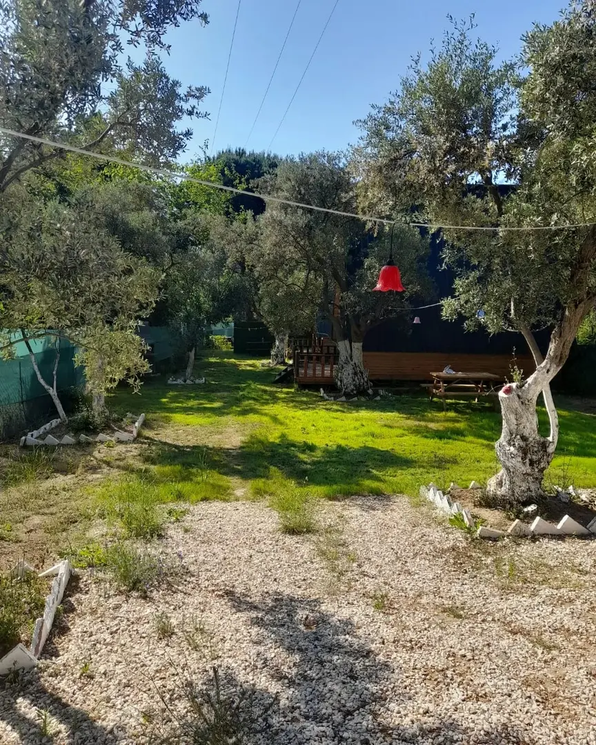 Fıstıklı Tual Bungolov — Yalova — küçük resim 3