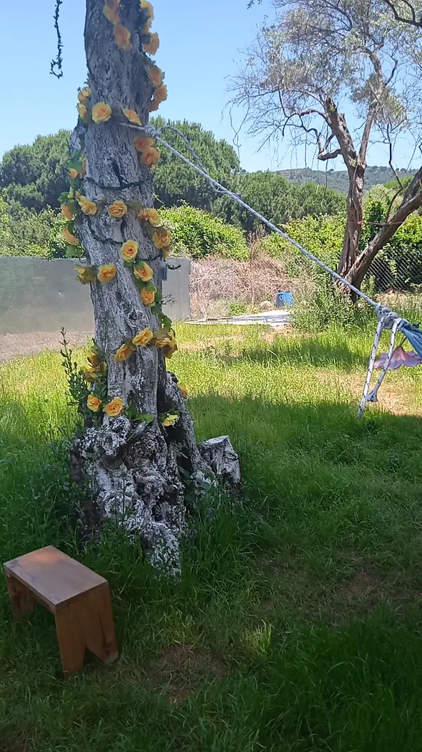 Fıstıklı Tual Bungolov — Yalova — küçük resim 7