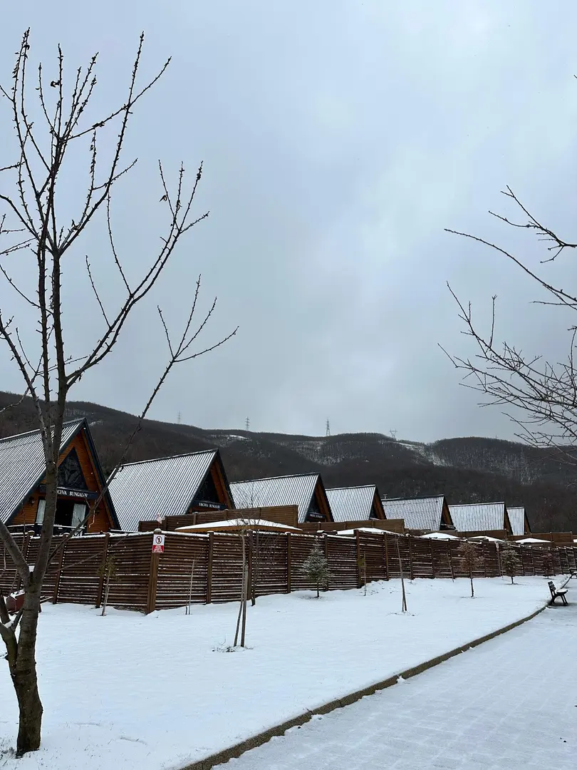 Erciva Bungalov — Bursa — küçük resim 6
