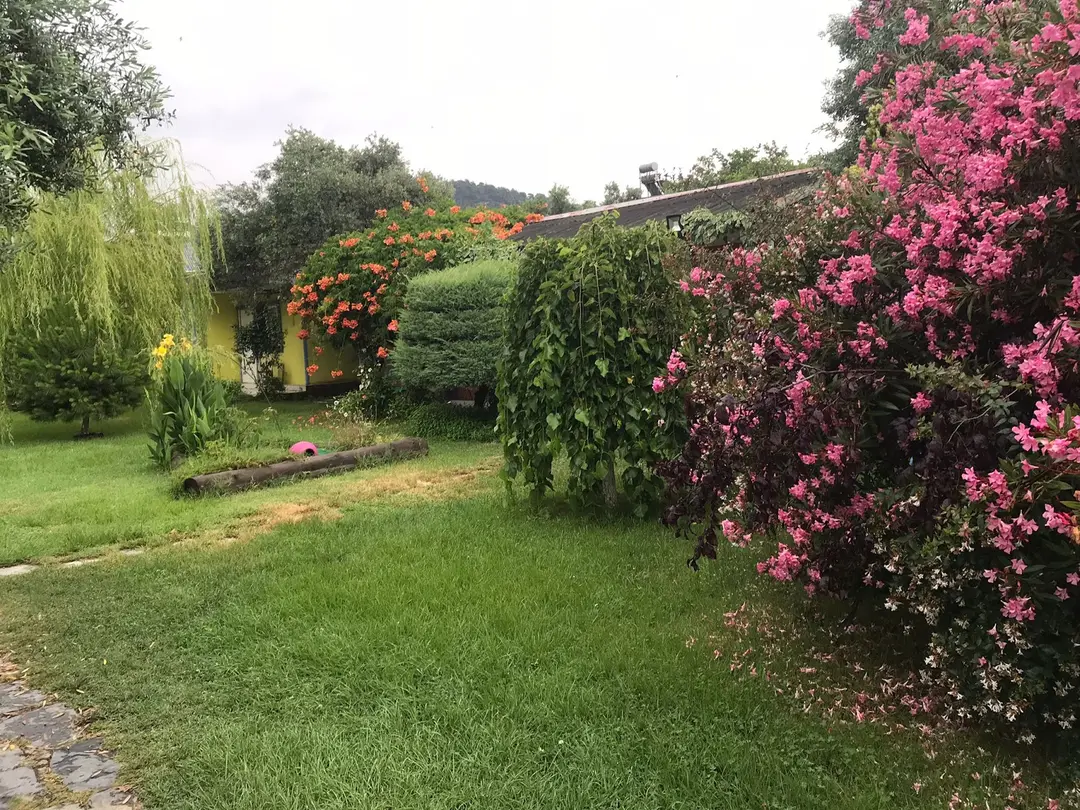 Fıstıklı Çiçek Evler Holiday Village (Accommodation - Breakfast - Grill) — Yalova — küçük resim 6