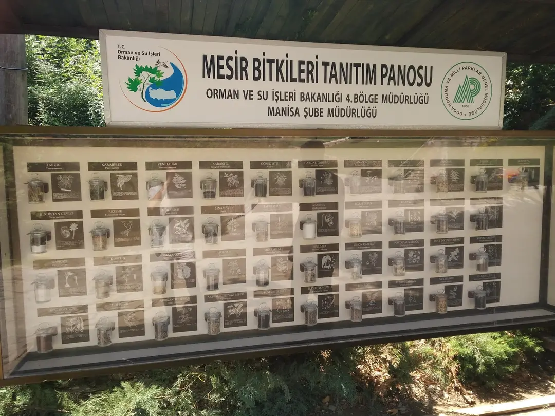 Mesir Tabiat Parkı — Manisa — küçük resim 6