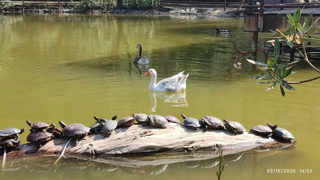 Mesir Tabiat Parkı — Manisa — küçük resim 9