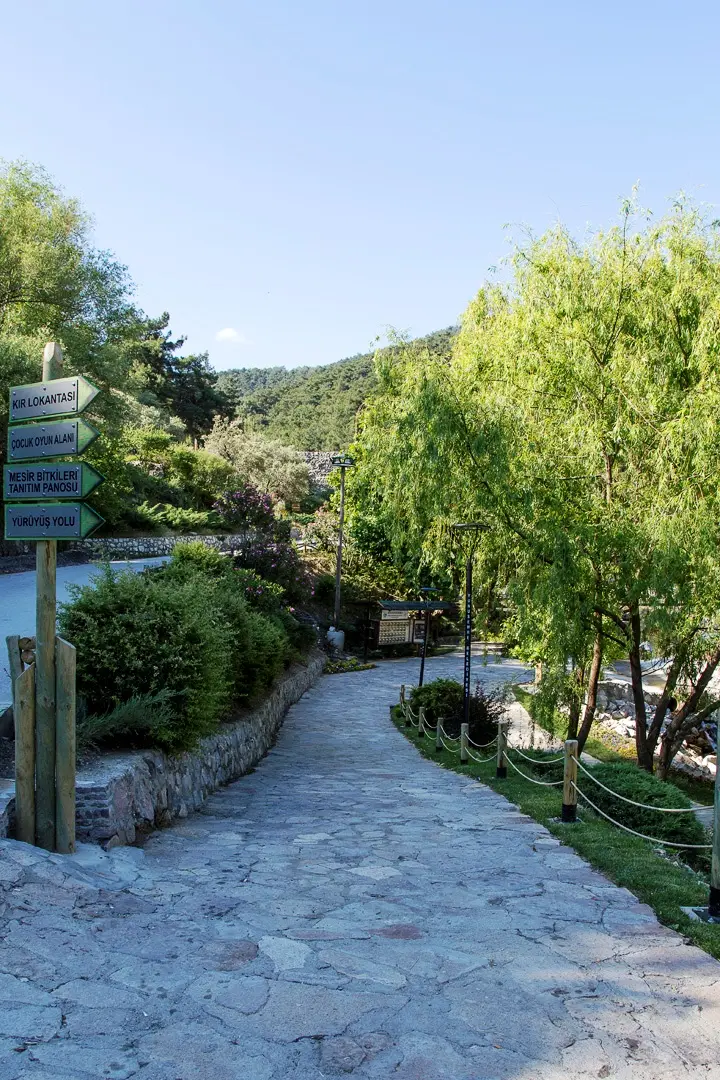 Mesir Tabiat Parkı