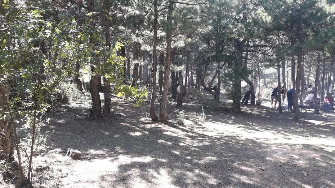 Spil Mountain Picnic Area — Manisa — küçük resim 3