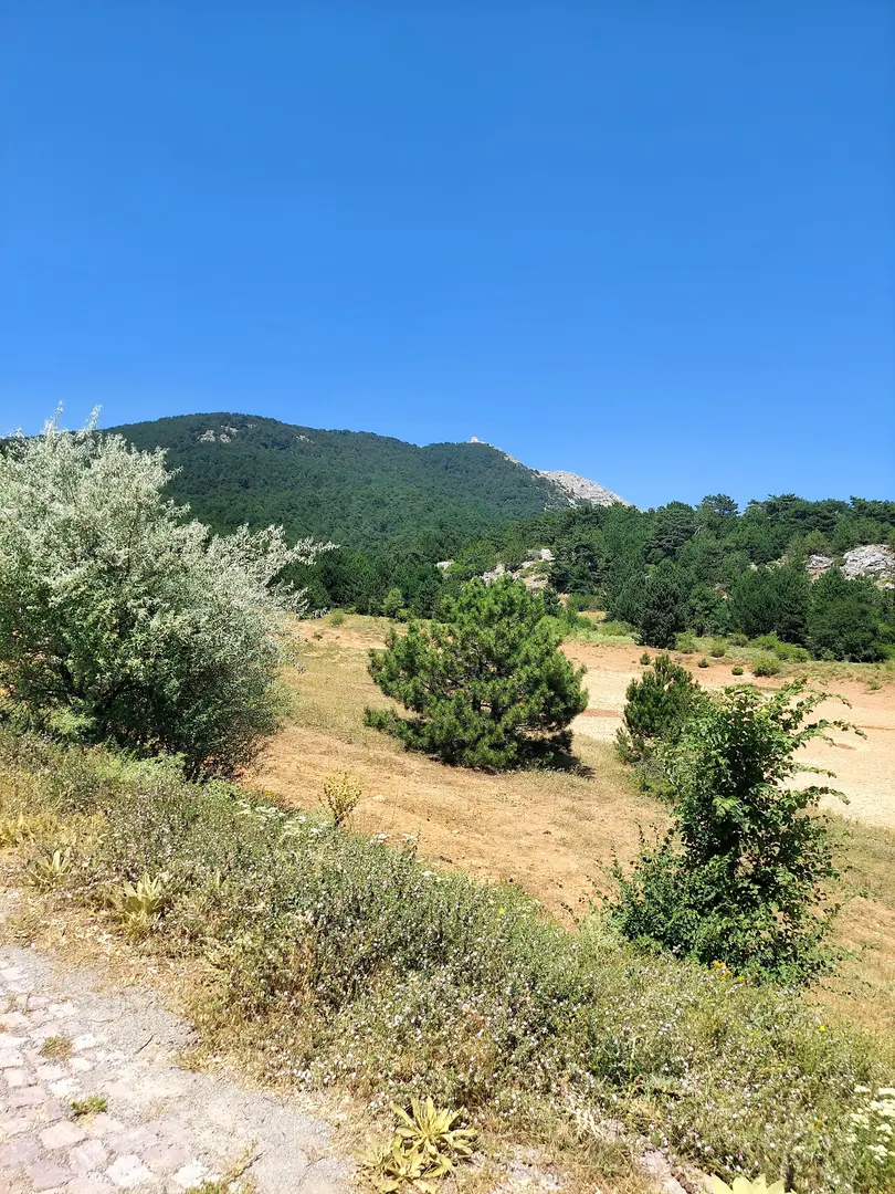 Spil Mountain Picnic Area — Manisa — küçük resim 7