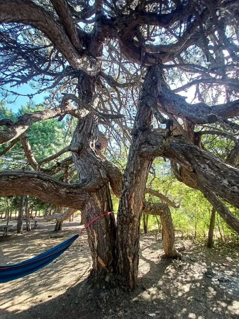 Spil Mountain Picnic Area — Manisa — küçük resim 9