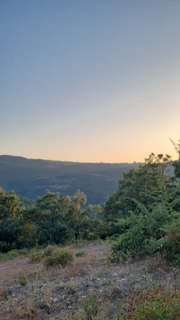 The Forest Camping Area — Manisa — küçük resim 3