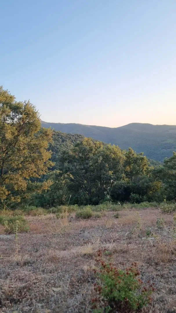The Forest Camping Area — Manisa — küçük resim 2