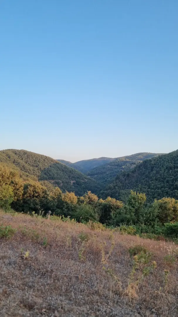 The Forest Camping Area — Manisa — küçük resim 4