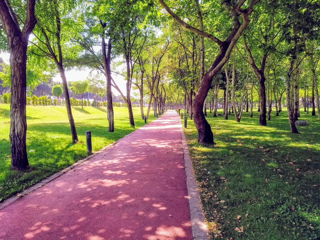 Manisa Laleli Vandrarpark — Manisa — fotoğraf 1