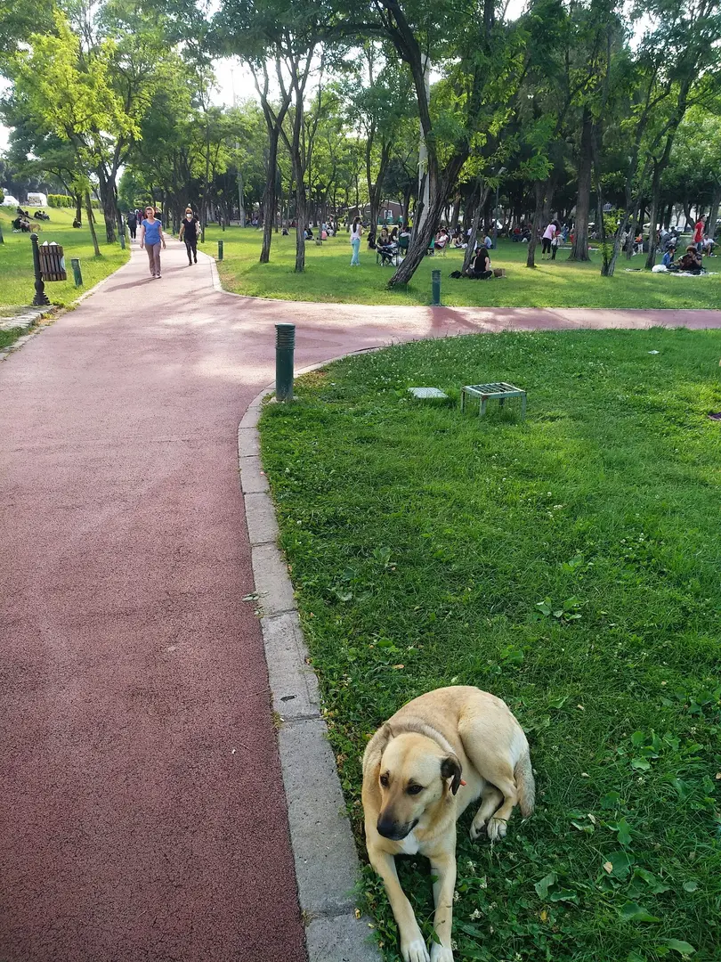 Manisa Laleli Vandrarpark — Manisa — küçük resim 9
