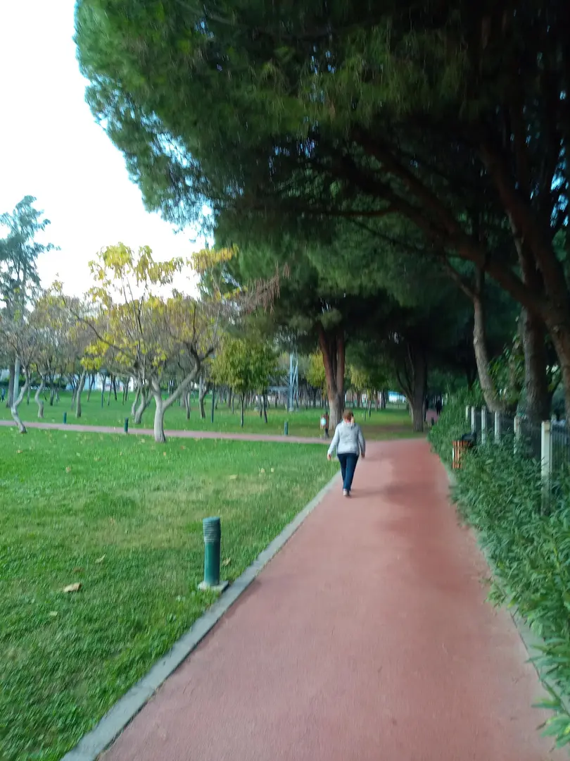 Manisa Laleli Vandrarpark — Manisa — küçük resim 6