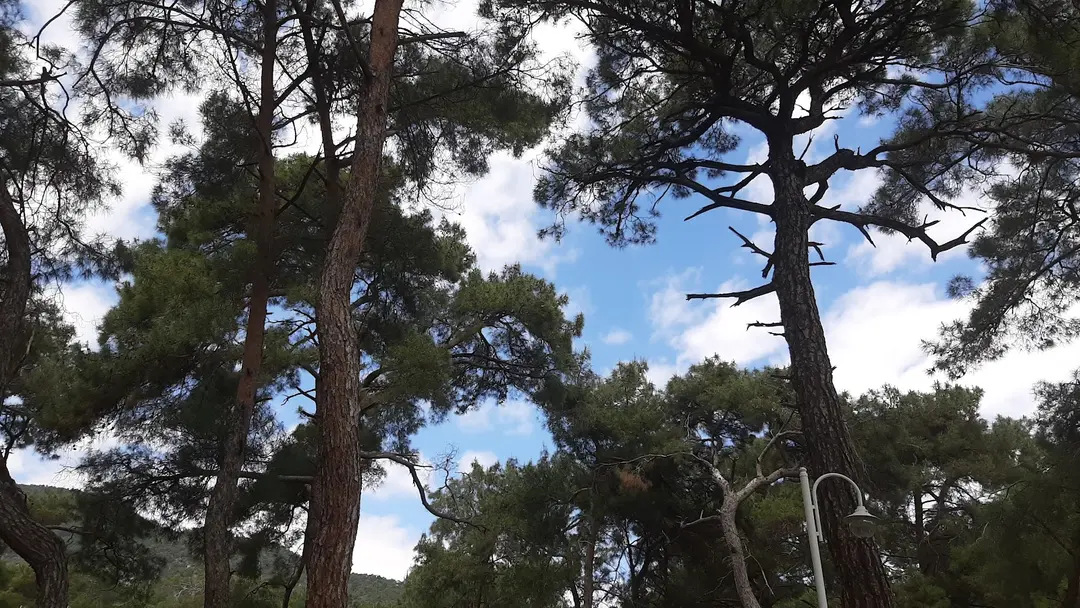 GSB ŞEHZADELER YOUTH CAMP — Manisa — küçük resim 9