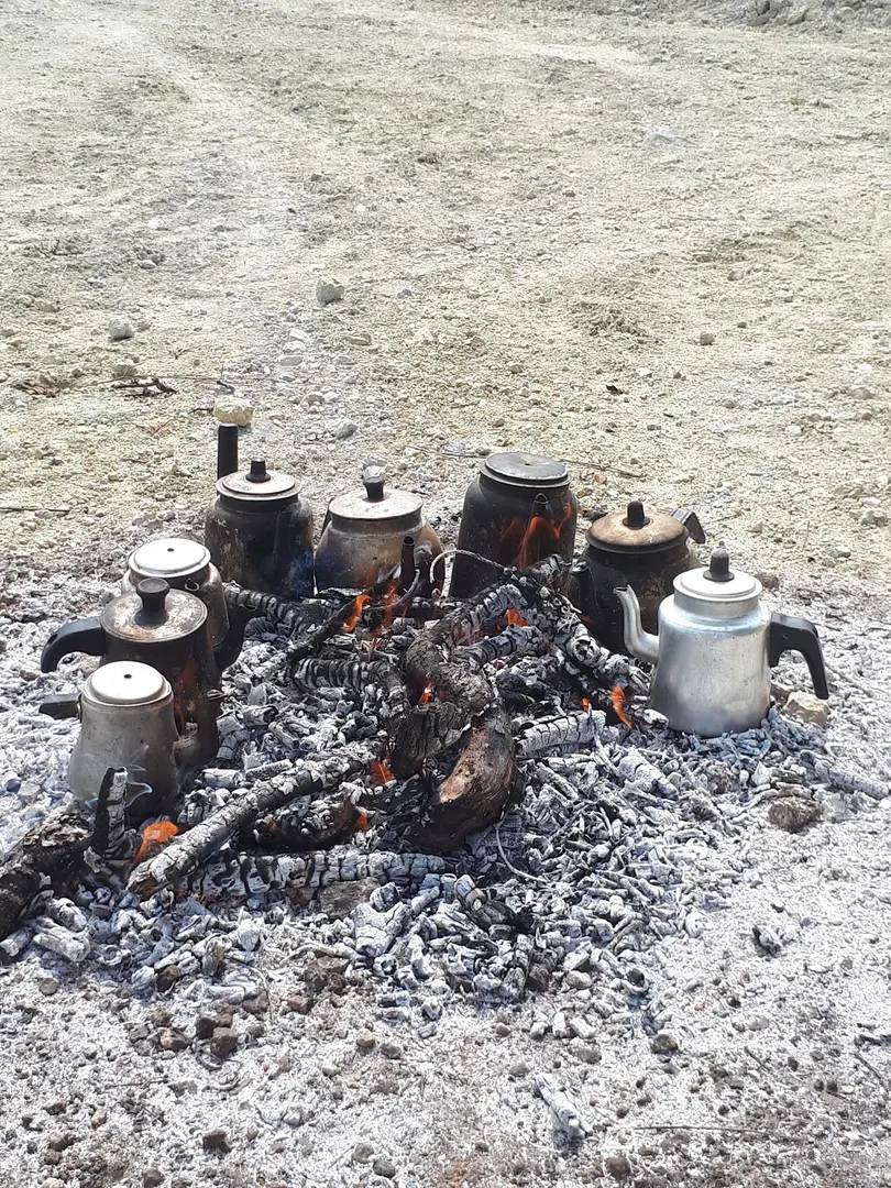 Orman Piknik Alanı — Manisa — küçük resim 9