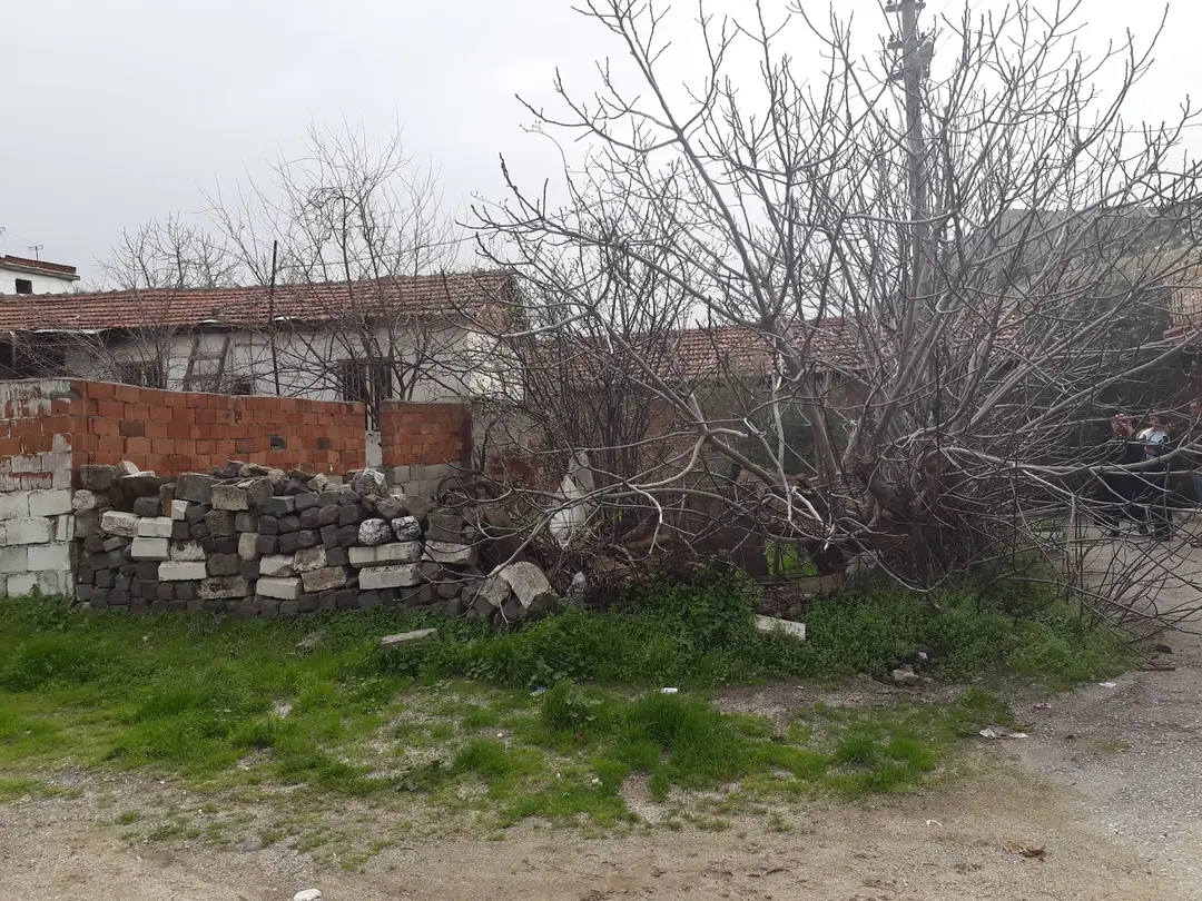 Orman Piknik Alanı — Manisa — küçük resim 8
