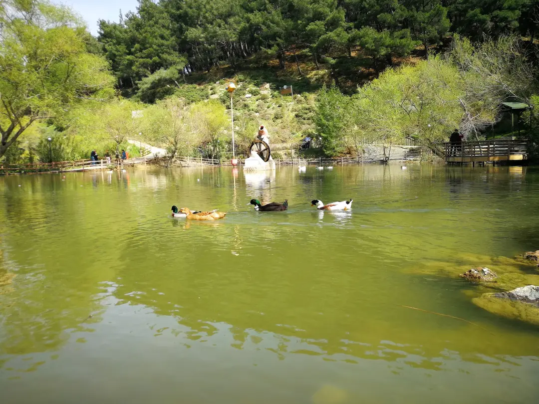 Manisa City Forest — Manisa — küçük resim 2