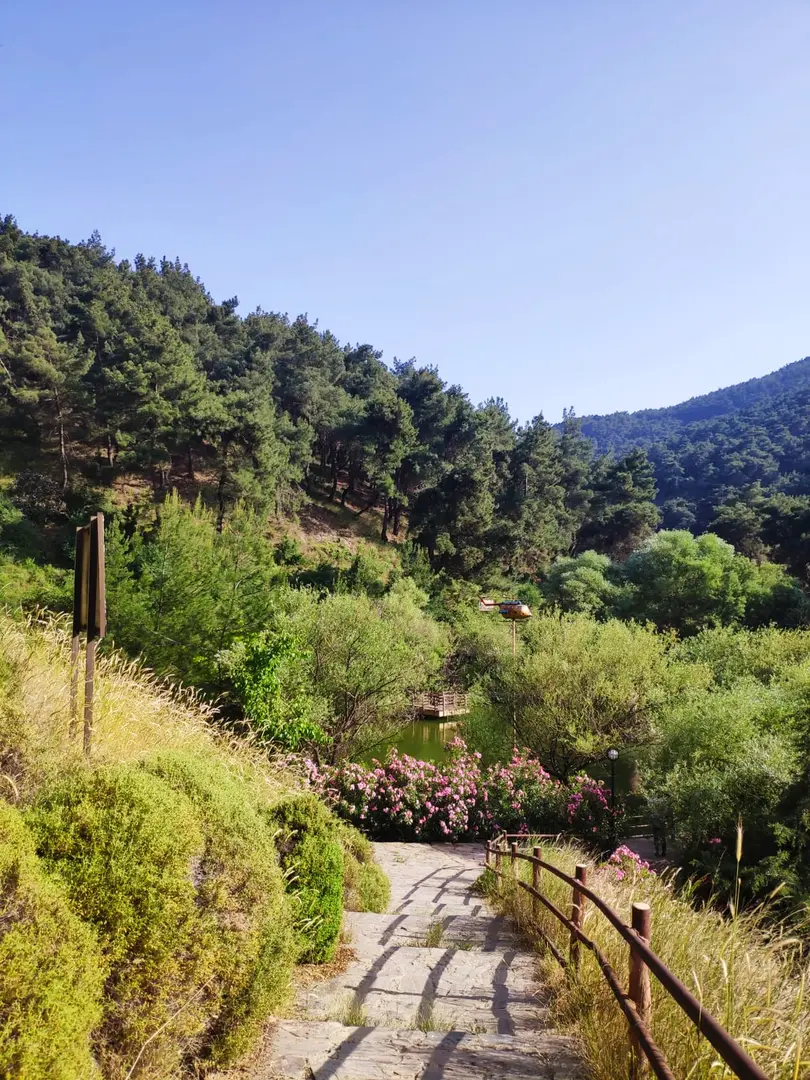 Manisa City Forest — Manisa — küçük resim 3