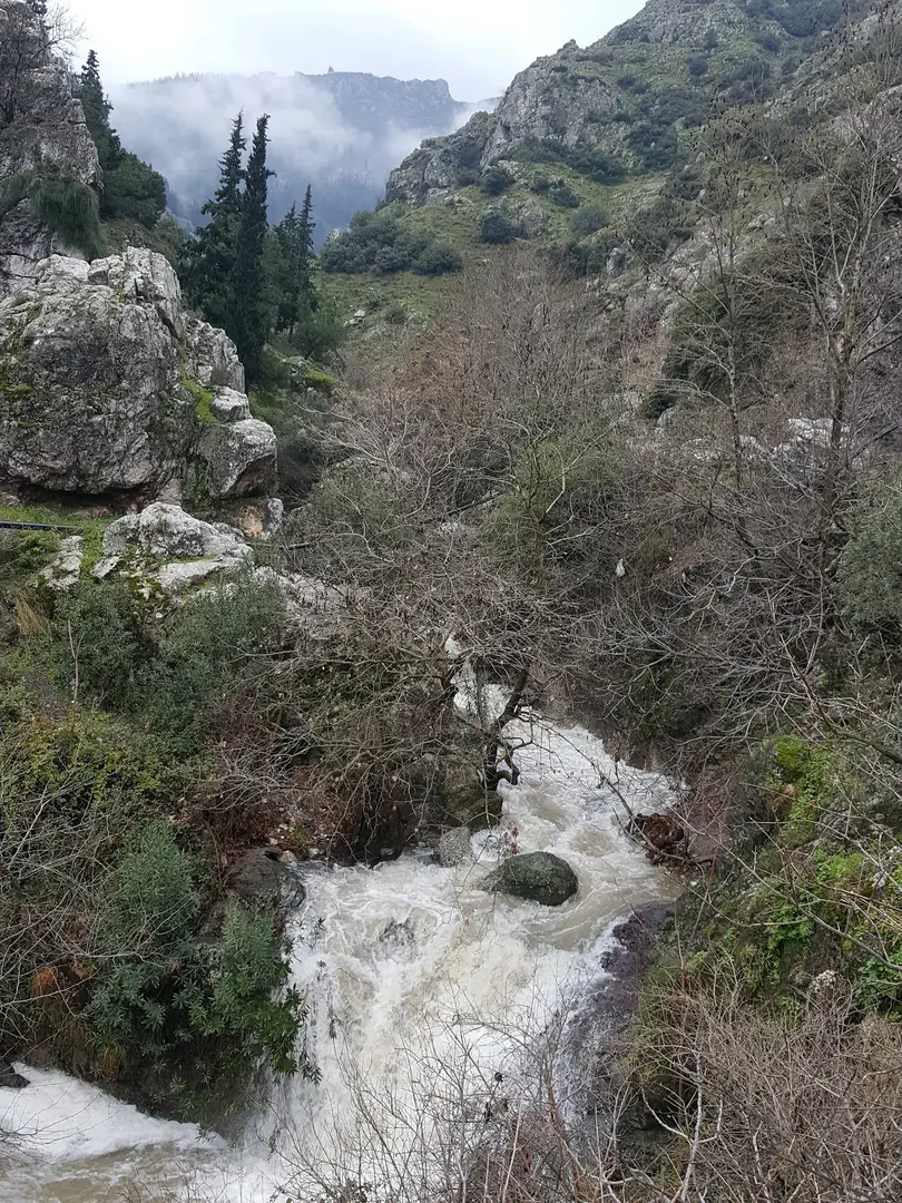 Manisa City Forest — Manisa — küçük resim 8