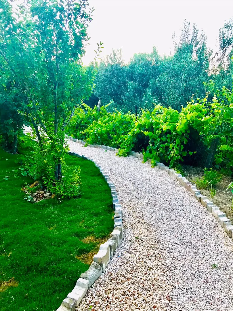 Capo Glamping — İzmir — küçük resim 4
