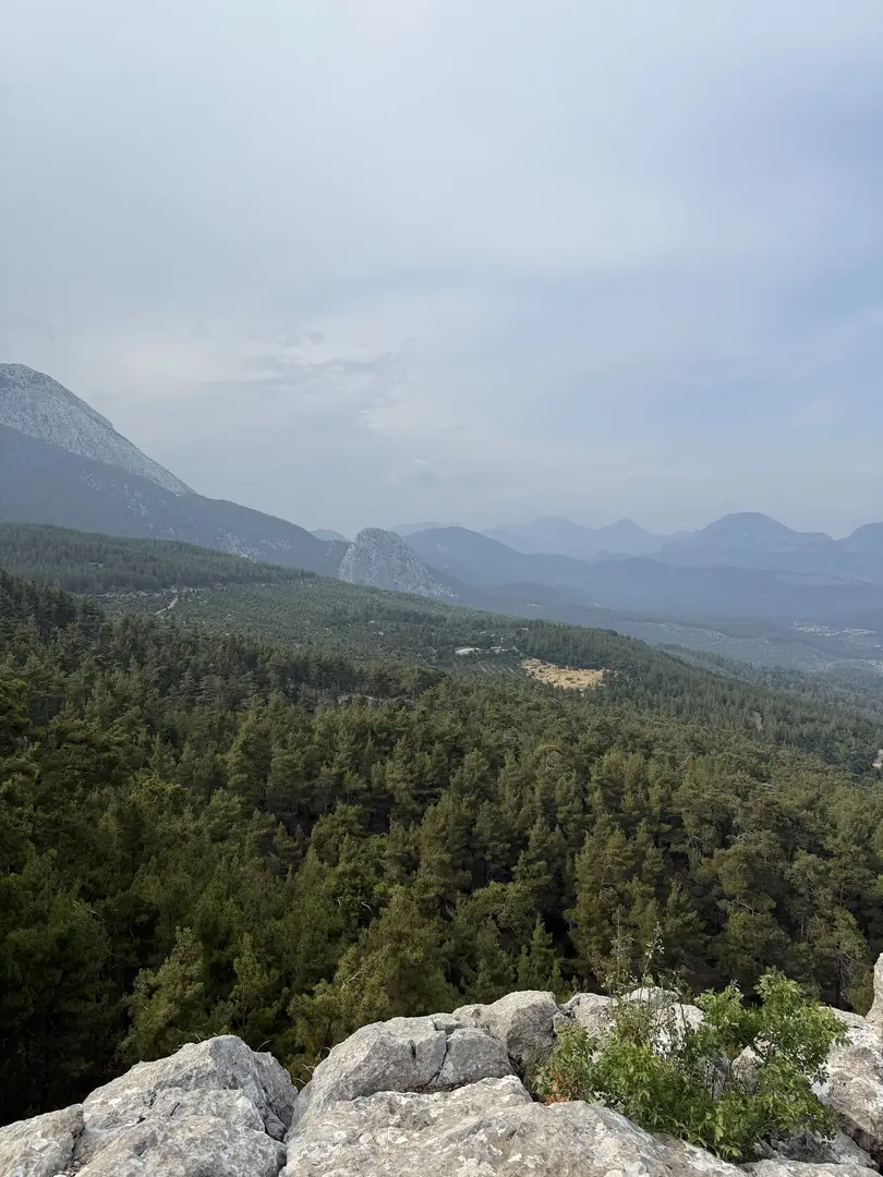Roarcamp — İzmir — küçük resim 3