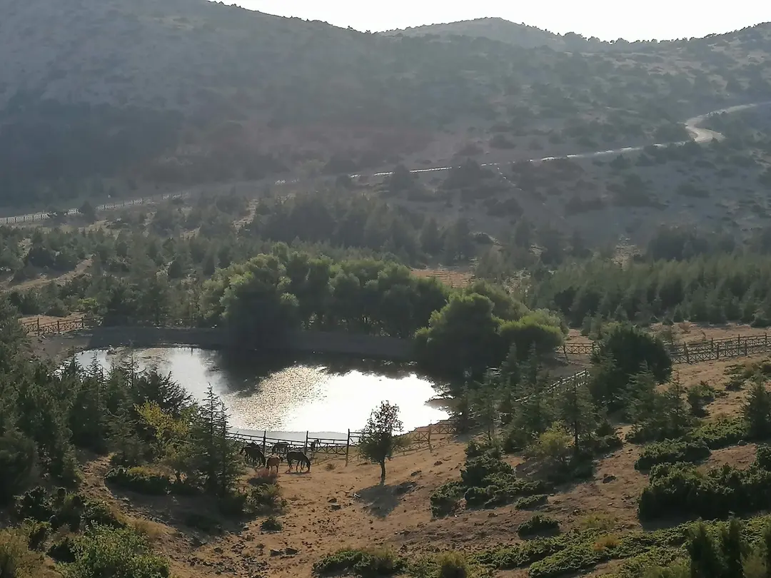 Spil Dağı — Manisa — küçük resim 4