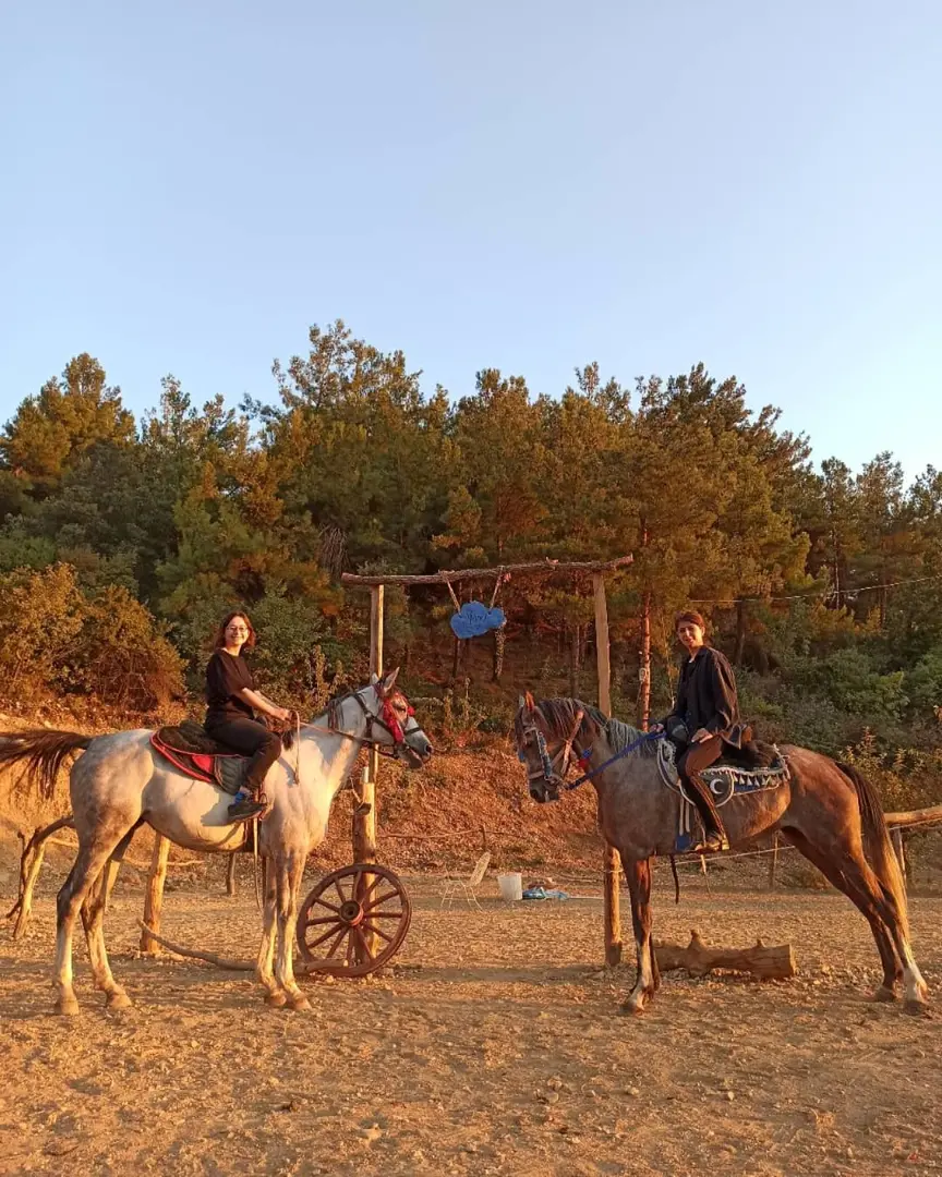 Spil Saruhanbey Horse Farm — Manisa — küçük resim 3