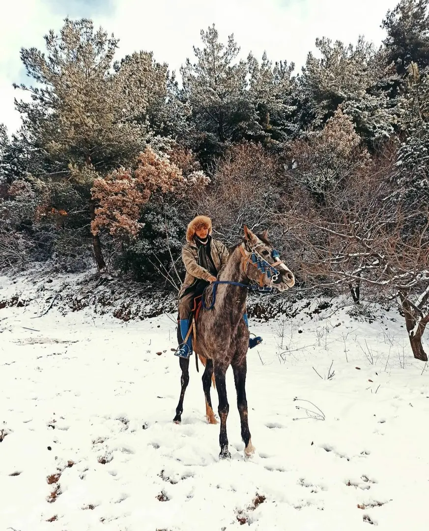 Spil Saruhanbey Horse Farm — Manisa — küçük resim 6