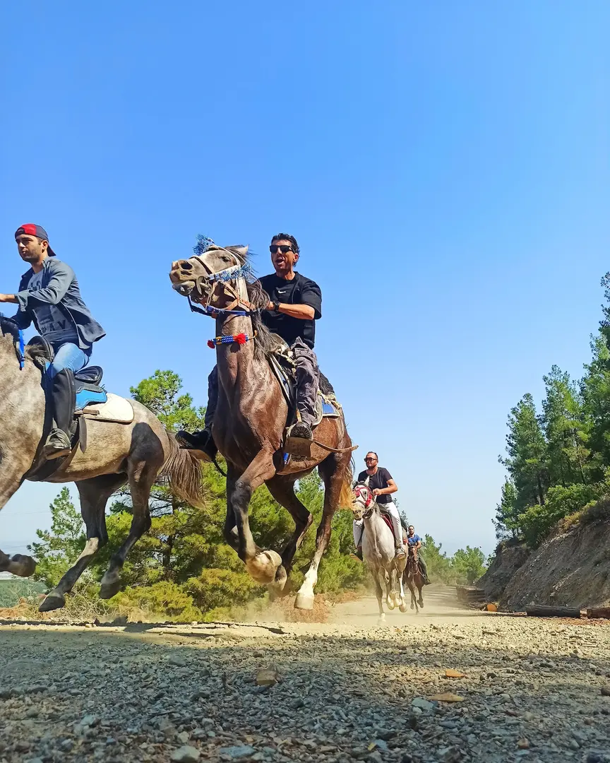 Spil Saruhanbey Horse Farm — Manisa — küçük resim 2