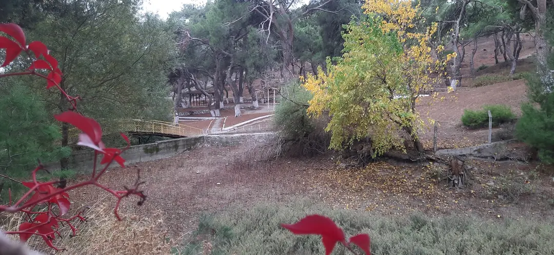 Zeytinliova Lake Accommodation Forest Park — Manisa — küçük resim 5