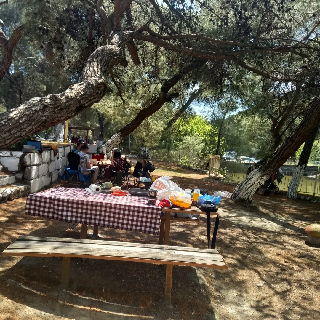 Zeytinliova Lake Accommodation Forest Park — Manisa — küçük resim 2