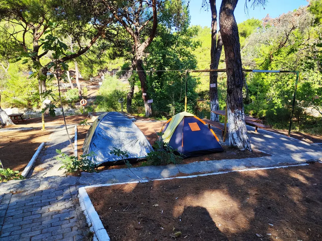 Zeytinliova Lake Accommodation Forest Park — Manisa — küçük resim 7